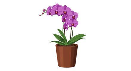 A cartoon illustration of a purple orchid plant in a brown pot against a white background