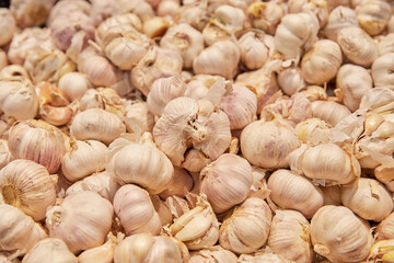Close-up of garlic on the market