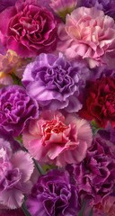 Naklejka premium Close-up of a bouquet of carnations in various shades of pink and purple
