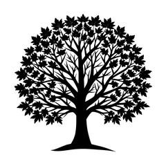 Obraz premium Vector art of silhouette of a maple tree, showcasing its intricate branching pattern and dense foliage in a minimalist design