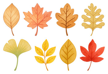 PNG Colorful autumn leaves illustration, element set on transparent background