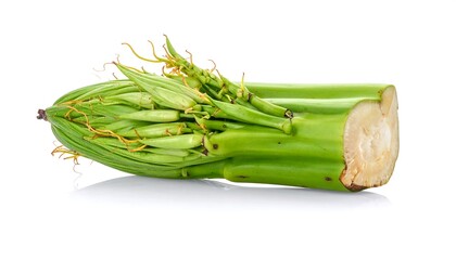 A close-up shot features a cut section of a vibrant green plant, revealing an off-white inner core with delicate, orange tendrils
