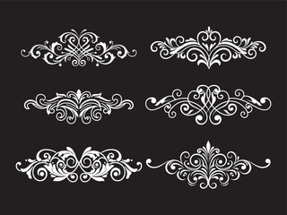 Fototapeta premium Elegant Floral Ornament Collection on Black Background