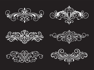 Fototapeta premium Elegant Floral Ornament Collection on Black Background