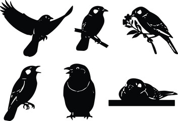Bird silhouette vector set, flying bird, perched bird, singing bird, sleeping bird, black bird icon, nature wildlife illustration design