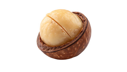 macadamia macro isolated on transparent background