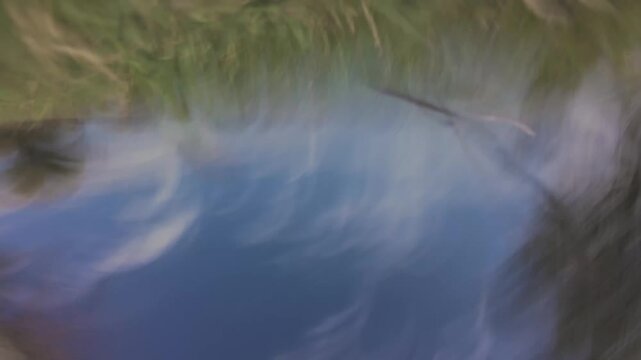 A dramatic POV FPV drone crash sequence, capturing the high-speed impact into trees and a grassy field from the drone's perspective until the moment of collision.