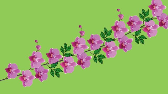 draw three slant series of pink flower decorate with green leaf on green screen background
