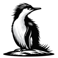 Stylized illustration of a black and white penguin standing upright on a textured surface looking right