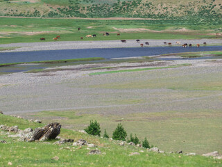 Orkhon Valley, Mongolia