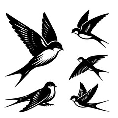 Illustration of a group of five swallow birds in various flying poses with detailed wing feather designs