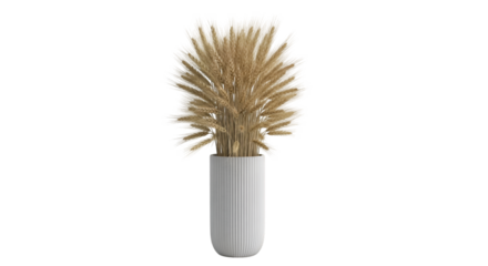 Dried Wheat Stalks in a White Ribbed Vase grass pampas