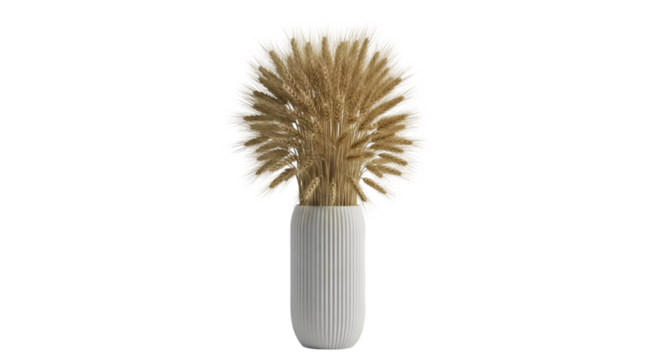 Dried Wheat Stalks in a Ribbed White Vase dried flowers