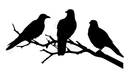 Obraz premium Three elegant birds perched on a branch silhouette in black, perfect for nature, design, and artistic projects, evoking a sense of calm and serenity.