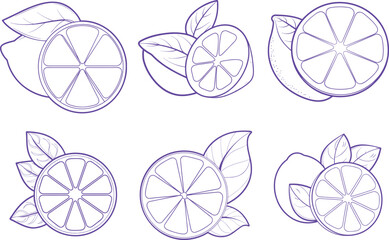 Line art illustration of a whole lemon and a sliced lemon with leaves