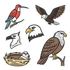 Collection of stylized bird illustrations including eagles a hummingbird and a baby owl in a nest