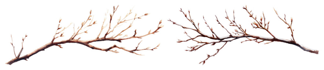 Fototapeta premium PNG Winter branches with snow, element set on transparent background