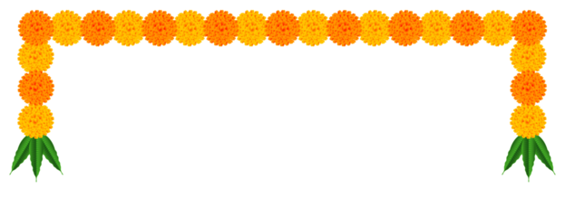 Marigold flower hanging garland: occasion, reception, welcome, marriage, mala, invitation, engagement, image, wedding, bride, worship, diwali, divali, deepavali, puja, dussehra, durga, hindu, indian, 