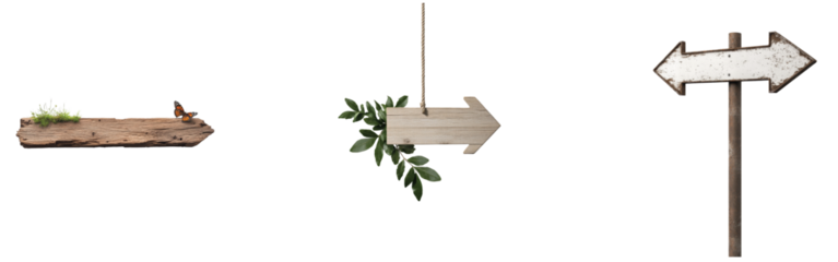 Rustic wooden arrows with natural elements 3d