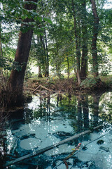 Natural water spring in Poland. Zrodlo Jordan near Krakow, Poland