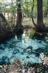 Natural water spring in Poland. Zrodlo Jordan near Krakow, Poland