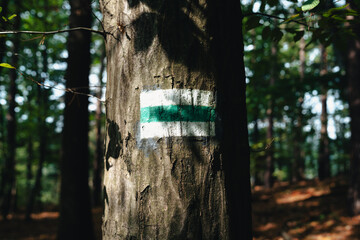Green trail, mountain trail, trail sign, green trail, trees