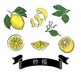 和レトロなレモンのイラスト