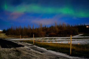 Northern Lights in the sky , Husavic camping area forest in iceland.