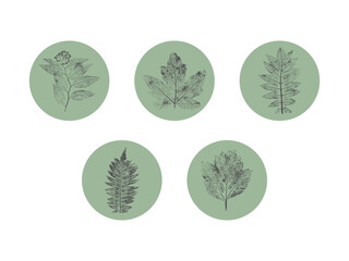 Botanical badges set, gray prints or stamps of plants inside green circles. Great for stickers, eco branding and minimalist packaging.