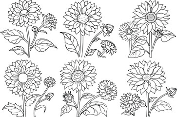 Outline drawing of a large dahlia flower with a bud and smaller flower