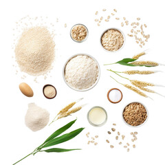 Oat products from flakes milk flour and whole grains isolated on transparent background.