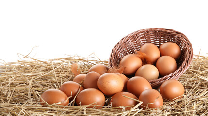 Raw chicken eggs, feathers and wicker basket on straw against white background