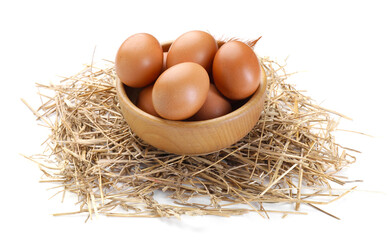 Chicken eggs in bowl and nest isolated on white