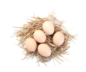 Chicken eggs in nest isolated on white, top view