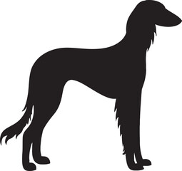 Elegant silhouette of a graceful afghan hound standing proudly side profile