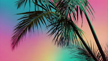 palm tree silhouette