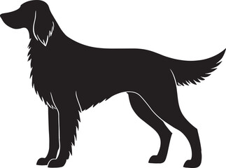 Silhouette of a standing irish setter dog breed showing full body profile