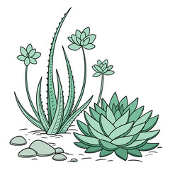 A charming hand drawn illustration of various green succulents and aloe vera plants growing in soil with smooth pebbles scattered around