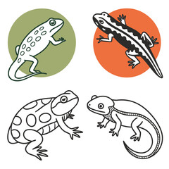 Four stylized illustrations of amphibians and reptiles including frogs and salamanders with colorful circles in the background