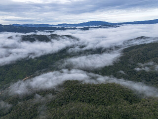 Serene aerial view of majestic green mountain landscape covered with sea of clouds. tranquil fog fills valley on peaceful morning creating stunning vista