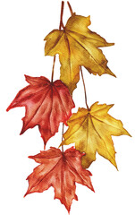 Fall Mega Pack Clipart & Stickers | PNG Transparent