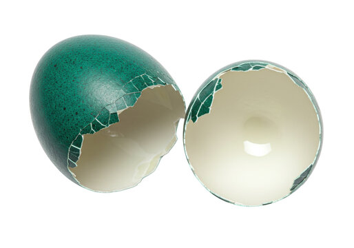Cracked green emu egg isolated on transparent background, broken shell halves for Easter and exotic food concepts PNG