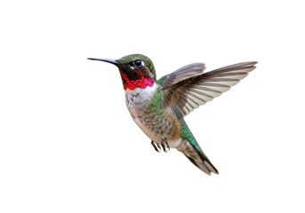 Fototapeta premium Ruby-throated hummingbird PNG isolated on transparent background, colorful bird with red throat and green feathers in flight, wildlife