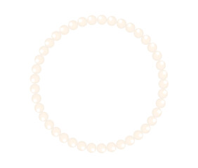 Round shape frame painting isolated on transparent background. Perl frame. Silver beads frame for decoration. Chain vector illustration