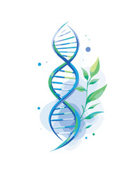 dna strand on white background