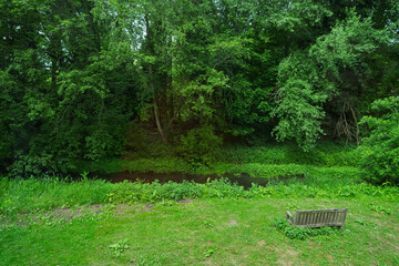 Wooden bench at scenic riverbank viewing point surrounded by vibrant green forest and stream. A tranquil nature spot with lush vegetation, flowing water and a peaceful woodland atmosphere in summer.