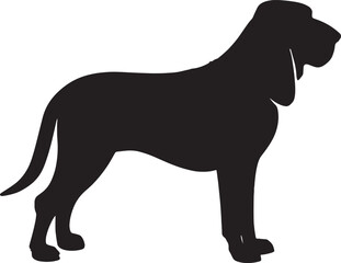 Silhouette of a majestic bloodhound dog breed standing proudly ready for canine companionship © Muhammad Foysal