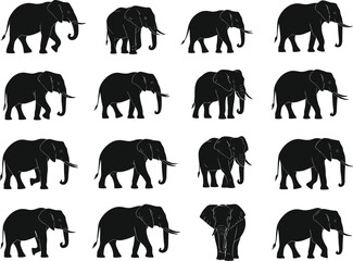 Elephant silhouette vector set, black animal icons, wildlife illustration pack, walking elephant poses, trunk up and down, side and rear view