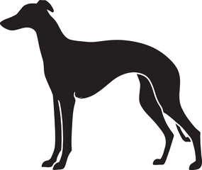 Elegant greyhound silhouette captures graceful athleticism of dog breed