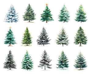 Obraz premium Variety of snow-covered evergreens.
